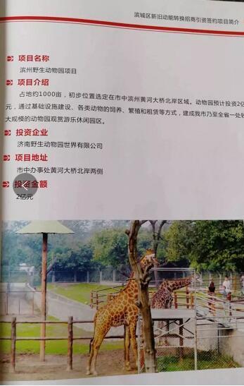 厲害了我的大濱州，15個(gè)招商引資項(xiàng)目集中簽約！