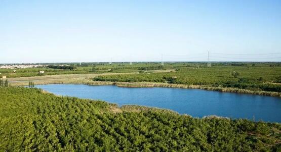 厲害了我的大濱州，15個(gè)招商引資項(xiàng)目集中簽約！